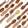 Salt/Spice Spoon