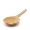 Ultralight Camping Spoon